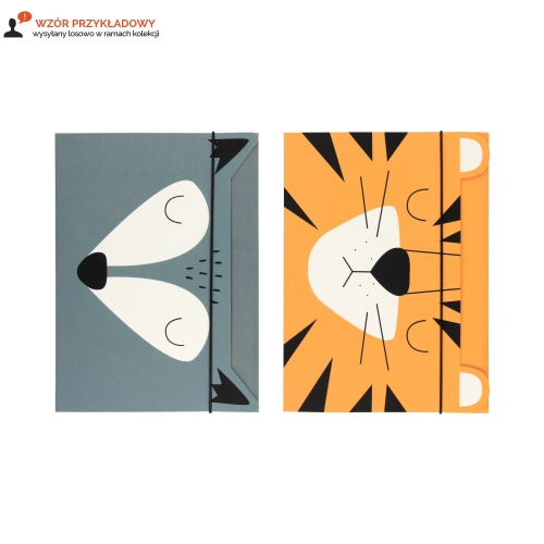 Teczka gumka A5+ Friends Boys BB