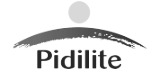 Pidilite